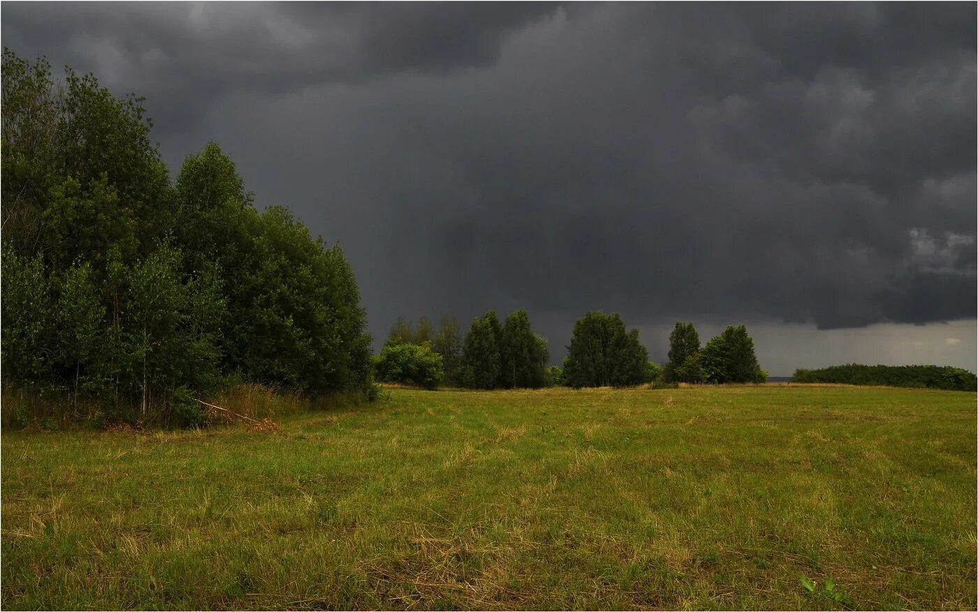 После летнего дождика луга и леса покрываются. Гроза в лесу. Природа пасмурно. Лес перед грозой. Природа перед грозой.