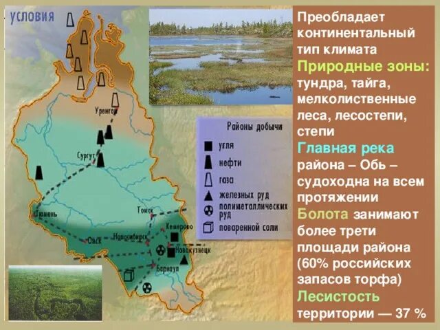 Природные зоны Западно Сибирского экономического района. Восточно Сибирский экономический район полезные ископаемые на карте. Западно-Сибирский экономический район полезные ископаемые. Западно-Сибирский экономический район природные ресурсы карта. Зона обь