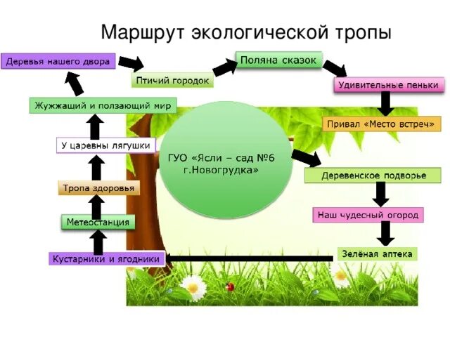 Экологическая тропа для дошкольников