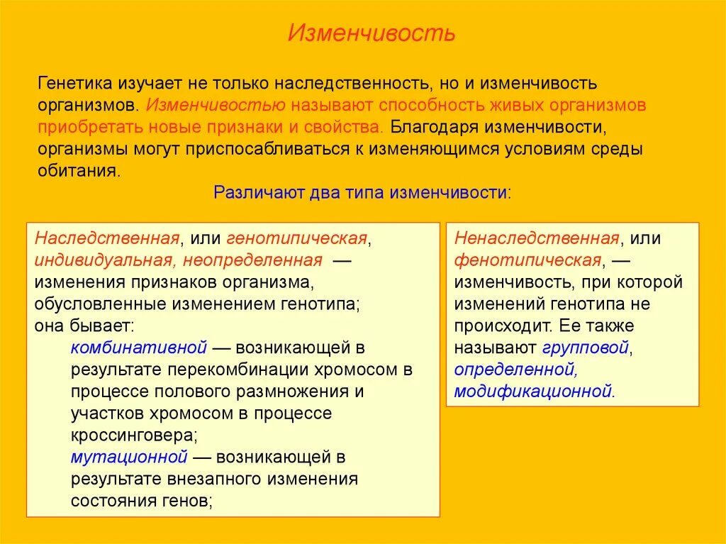 Ненаследственная изменчивость генетика. Изменчивость генетика кратко. Изменчивость в генетике это кратко. Изменчивость человека генетика. Случайная изменчивость виды