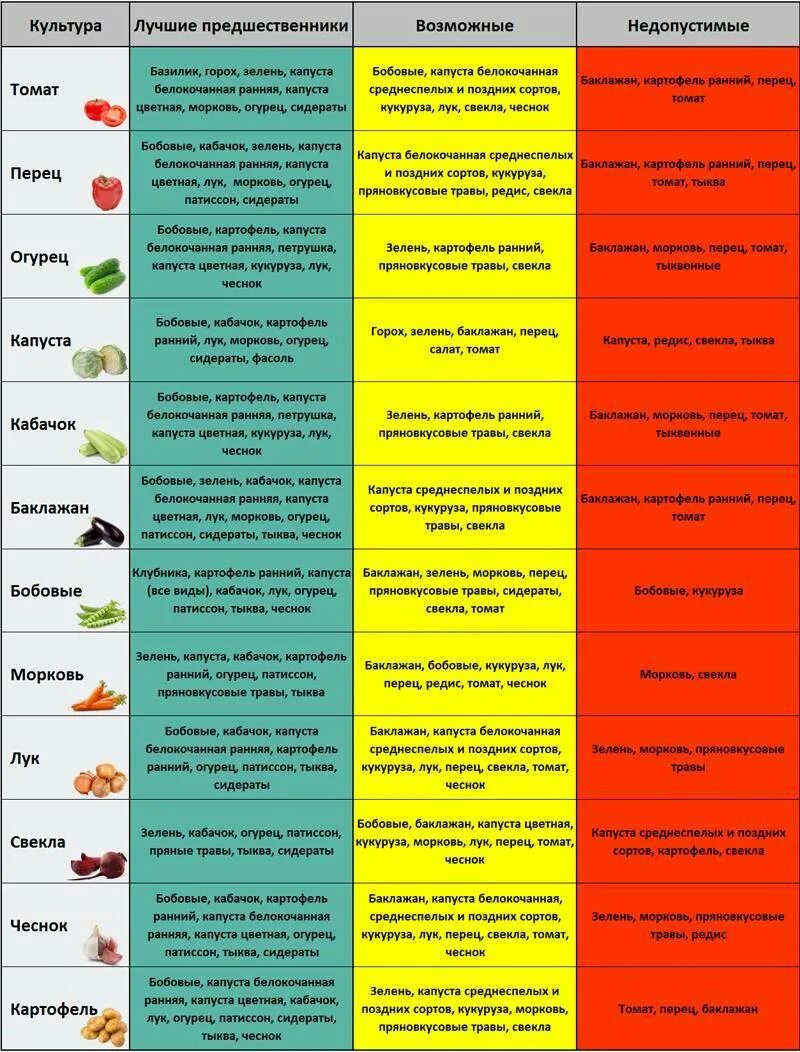 Таблица севооборота овощных культур на огороде. Какие растения после каких можно сажать. Чередование посадки овощей на огороде таблица. Предшественники на огороде таблица севооборота. Таблица севооборота посадки овощей на огороде.