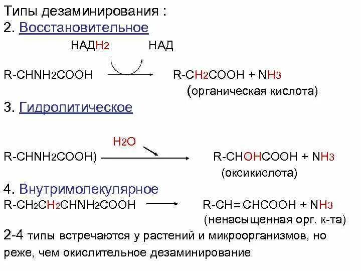 4 Типа дезаминирования аминокислот. Основные пути дезаминирования. Типы дезаминирования аминокислот биохимия. Дезаминирование 4 типа реакции. В результате дезаминирования образуется