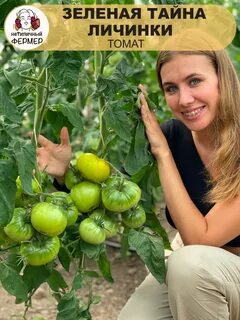 Зеленая тайна личинки