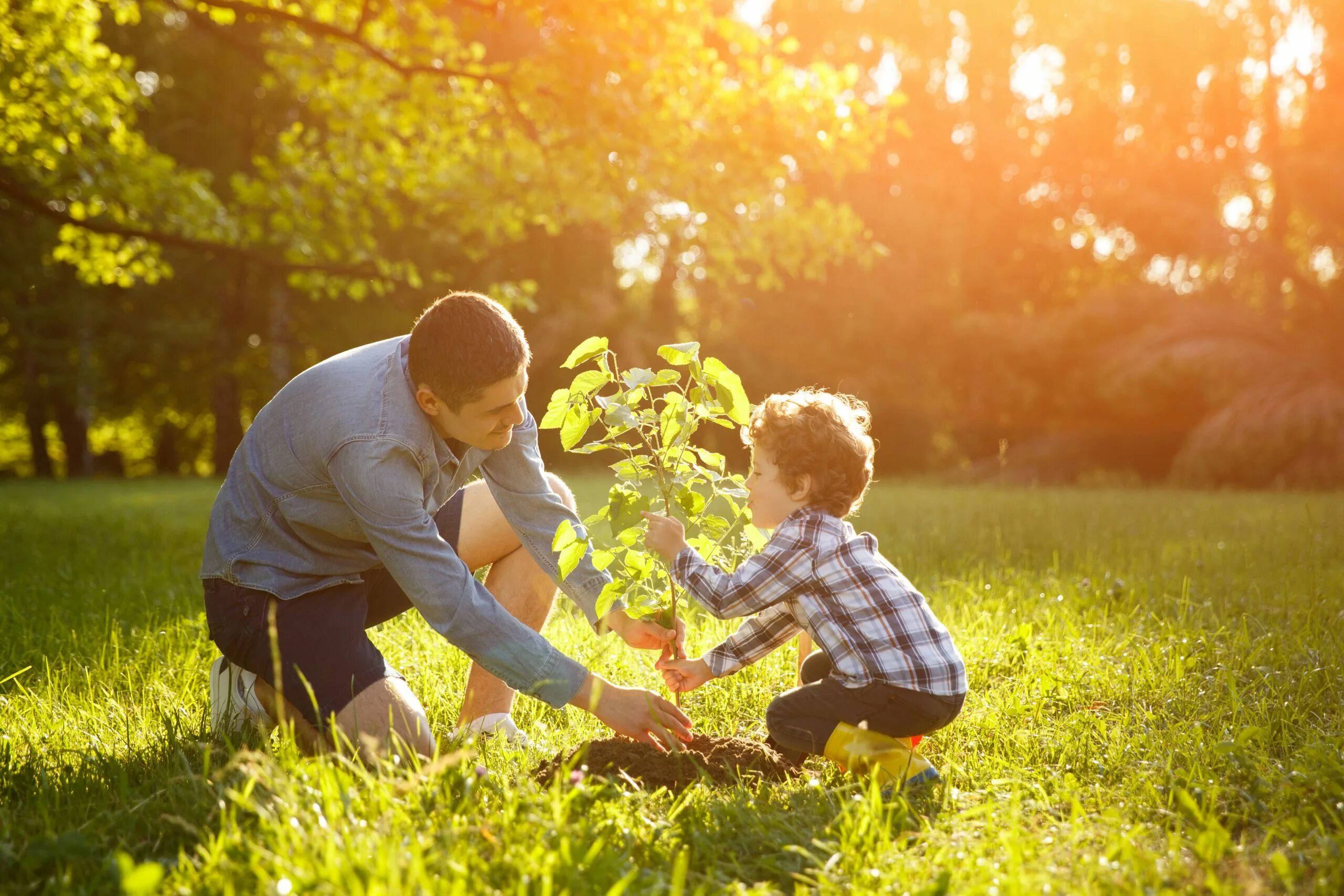 Включи папа на дереве. Отец и сын сажают дерево. Семья сажает дерево. Папа и сын садят дерево. Отец с сыном на природе.