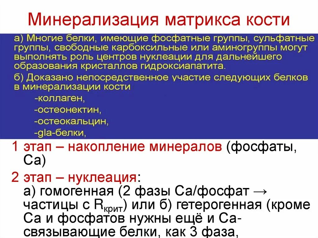 Минерализация воды процесс. Этапы минерализации костной ткани. Этапы минерализации костной ткани биохимия. Процесс минерализации костной ткани биохимия. Минерализация матрикса.