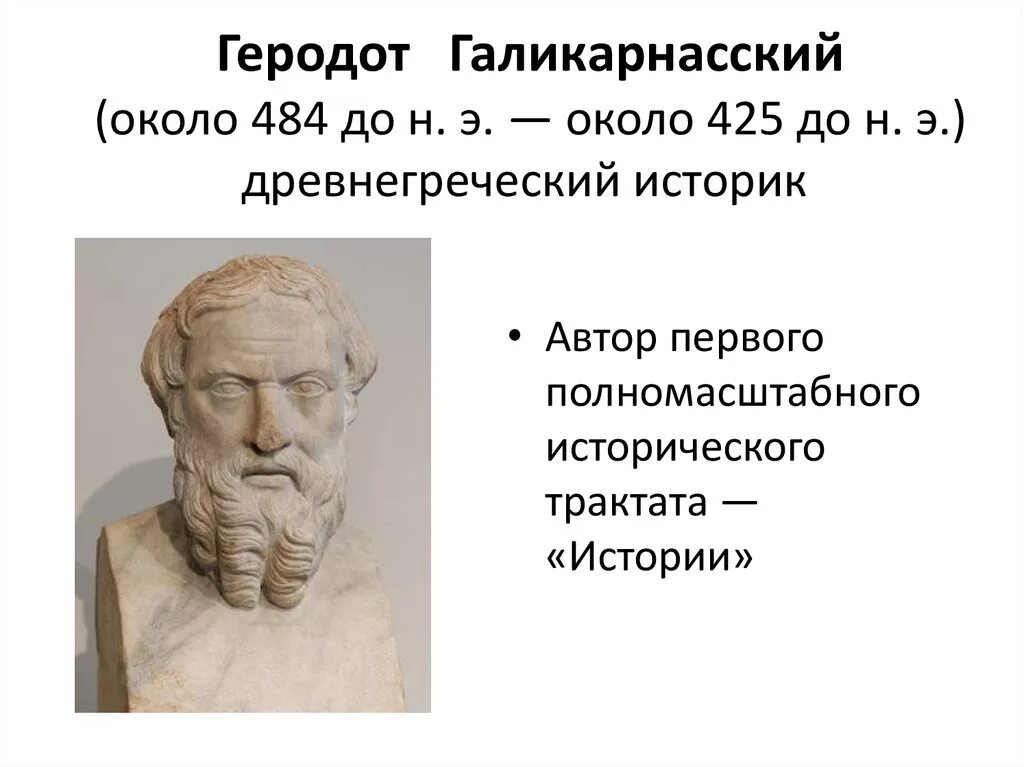 Геродот отец истории кратко. Древнегреческий историк Геродот. Древнегреческий ученый Геродот. Геродот портрет. Геродот Галикарнасский.