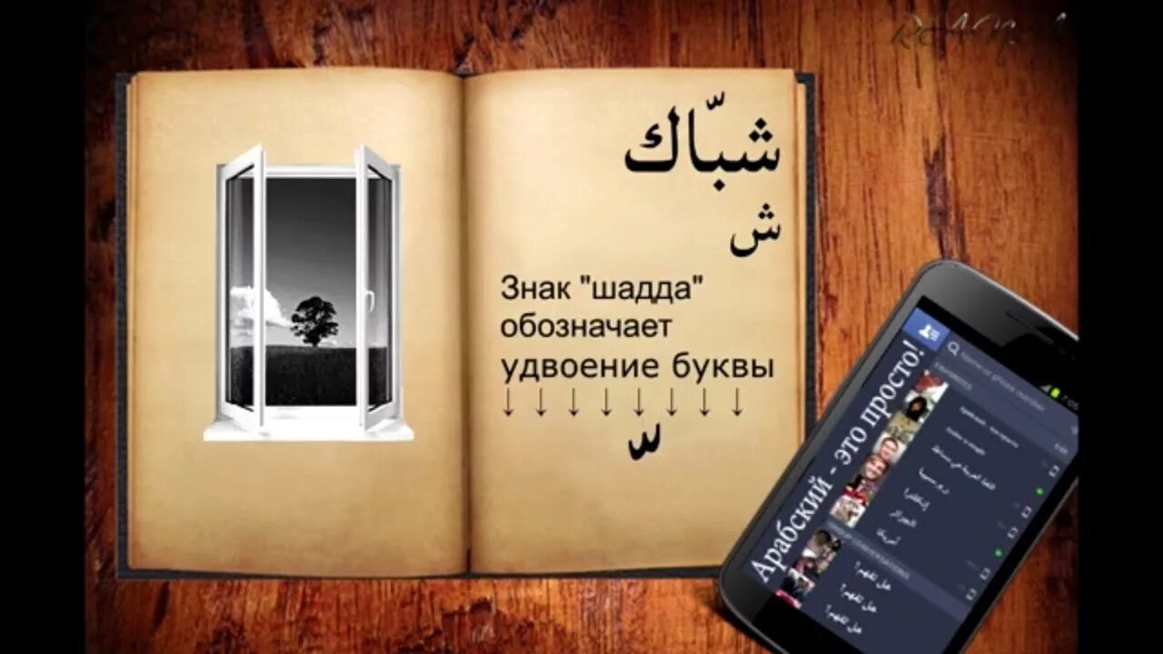 100 на арабском. Шадда. Шадд. Шадда значение. Слова Шадда на русском.