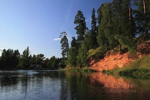 Витебский оредеж