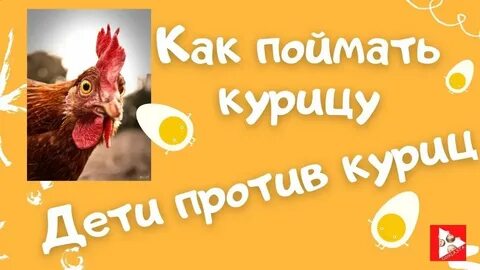 Ловить кур