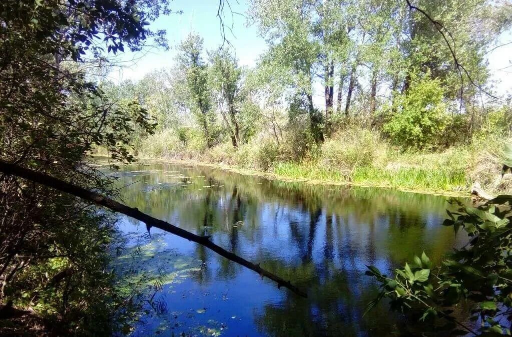 Теки река волгоград. Река хмость. река еруслан саратовская. река хмость смоленской области. красный кут саратовская область река еруслан.