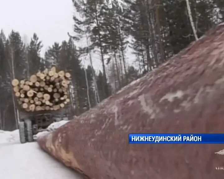 УК Нижнеудинский район. Поселок УК Нижнеудинского района. Мэр Нижнеудинского района Иркутской области. Лес Нижнеудинский район.