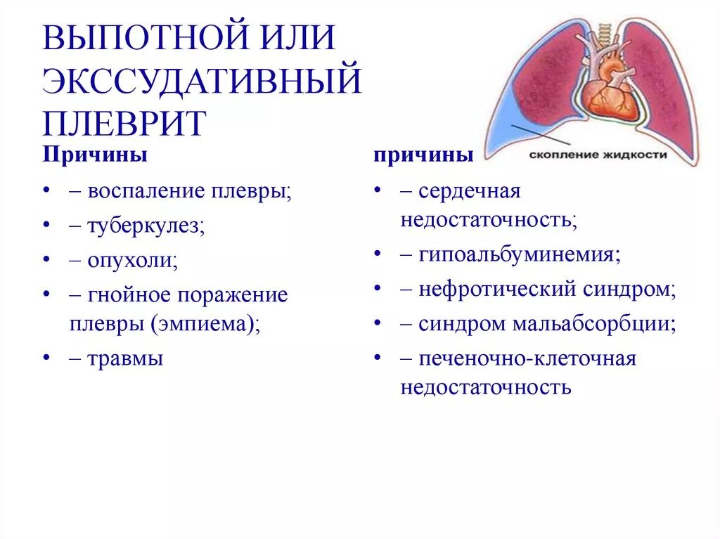 Заболевание сухие легкие. Экссудативный плеврит. Транссудативный плеврит. Экссудативный плеврит симптомы.