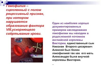 Гемофилия роды