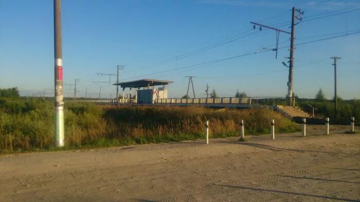 Группа 52 55 км. Группа 52 55 км. 55 км посадников остров. Группа 52 55 км. Станция 55 км.