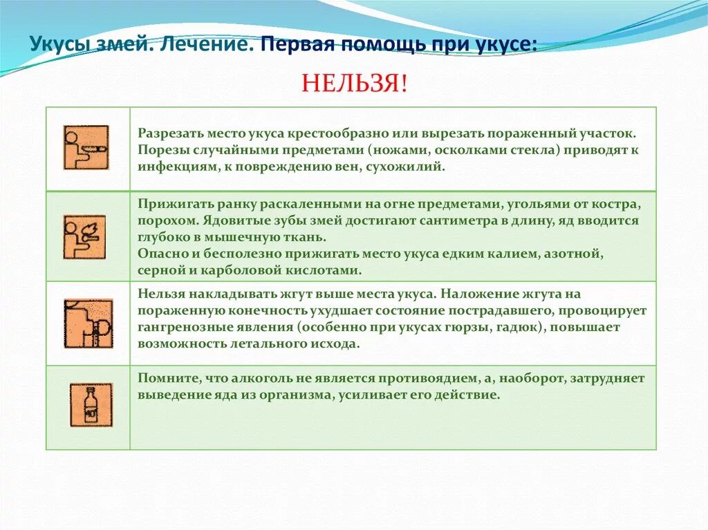 При укусе змеи запрещается. Первая помощь при укусе змеи порядок действий. порядок действий при укусе змеи. что нельзя делать при укусах змей?. первая помощь при укусах змеями:.