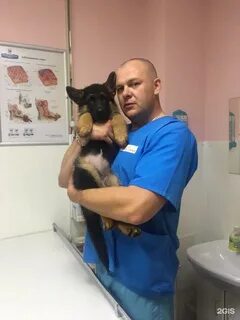 Ветеринарная тюмень