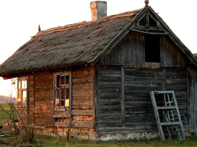 Хибары красивые. Хижина лачуга. Форест хижина. Хижина убогая. Сарай в лесу.