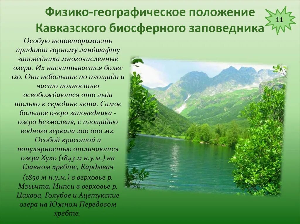 Кавказский заповедник географическое положение. Географическое расположение Кавказского заповедника. Биосферные заповедники презентация. Географическое положение Кавказского биосферного заповедника. Биосферный заповедник примеры