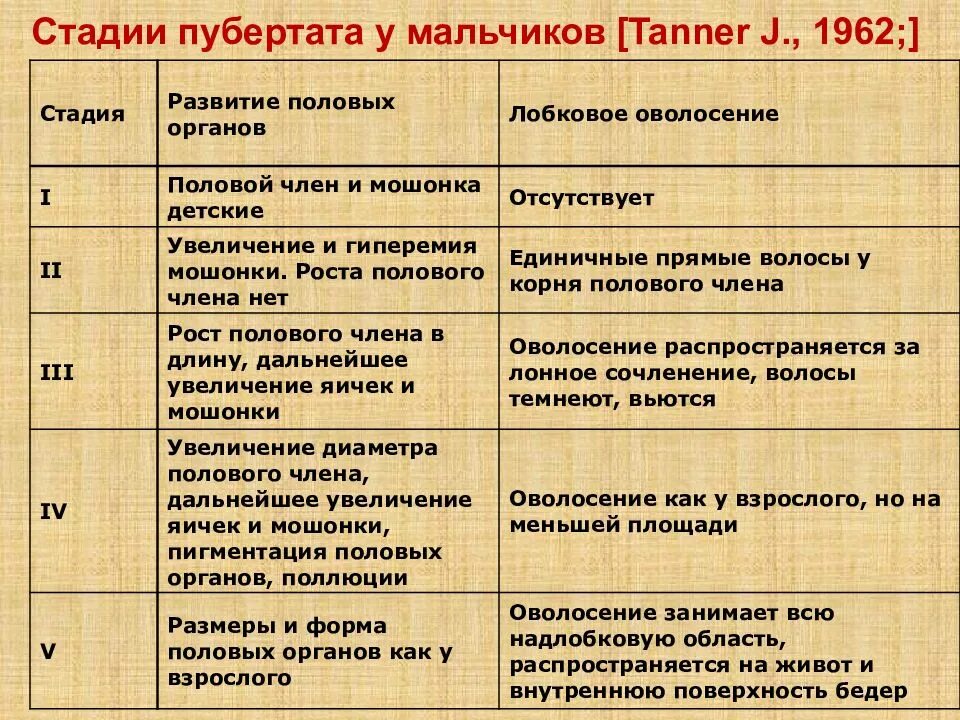 Половое развитие мужчин. Этапы полового развития мальчика. Стадии полового развития у мальчиков. Стадии полового развития по Таннеру. Стадии полового развития девочек.