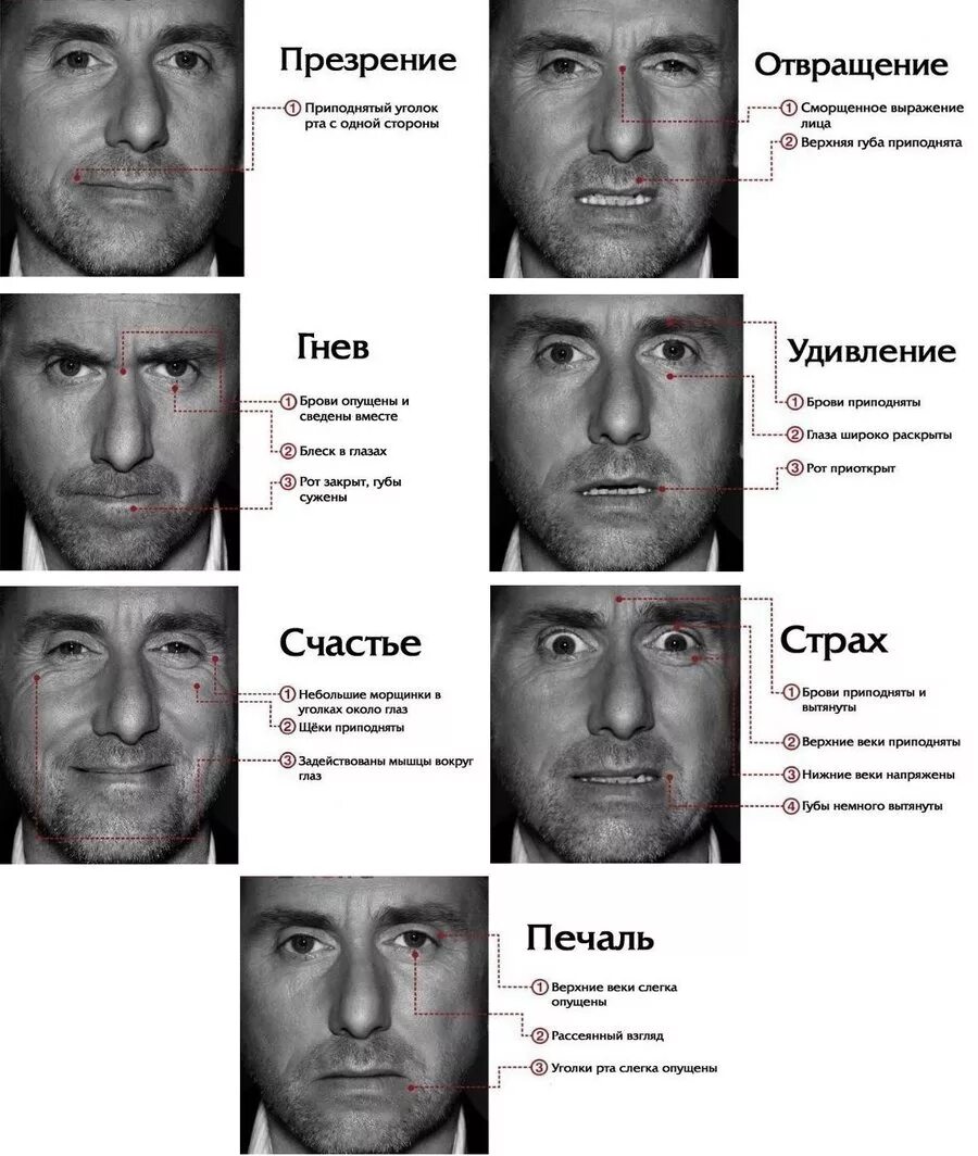 Выражение лица бывает. Пол Экман базовые эмоции. Пола Экмана психология лжи Обмани меня если сможешь. Мимика эмоций пол Экман. Пол Экман 7 базовых эмоций Обмани меня.