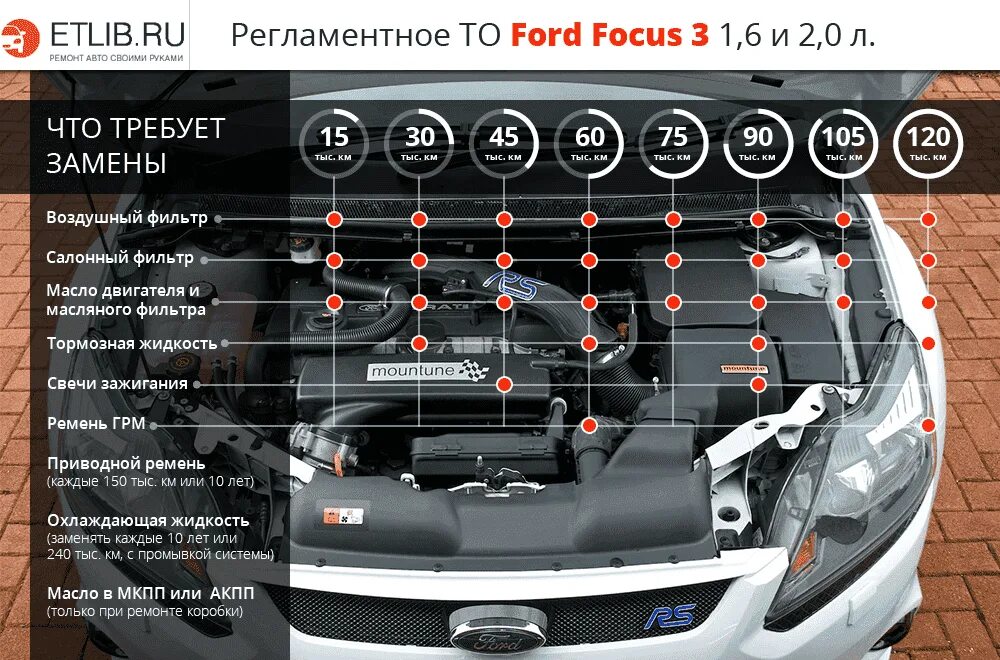 Регламент то Форд фокус 3. Регламент то Форд фокус 3 1.6 105. Регламент технического обслуживания Форд фокус 3. То Форд фокус 3 регламент 1.6. Что можно менять в автомобиле