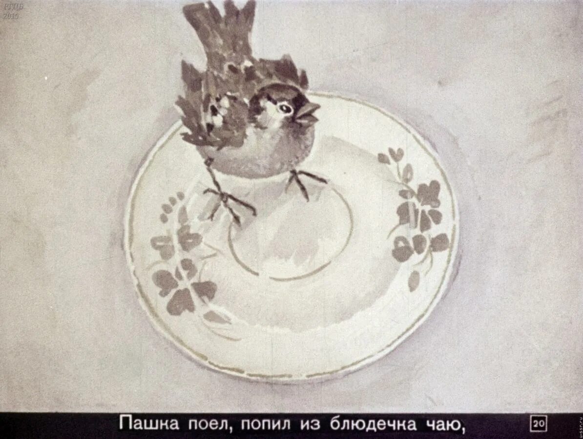 Раскраски растрепанный воробей паустовский. Иллюстрации к рассказу Паустовского растрепанный Воробей. Растрепанный Воробей Паустовский. Паустовский растрёпанный Воробей. Иллюстрации к рассказу Паустовского растрепанный Воробей 3 класс.
