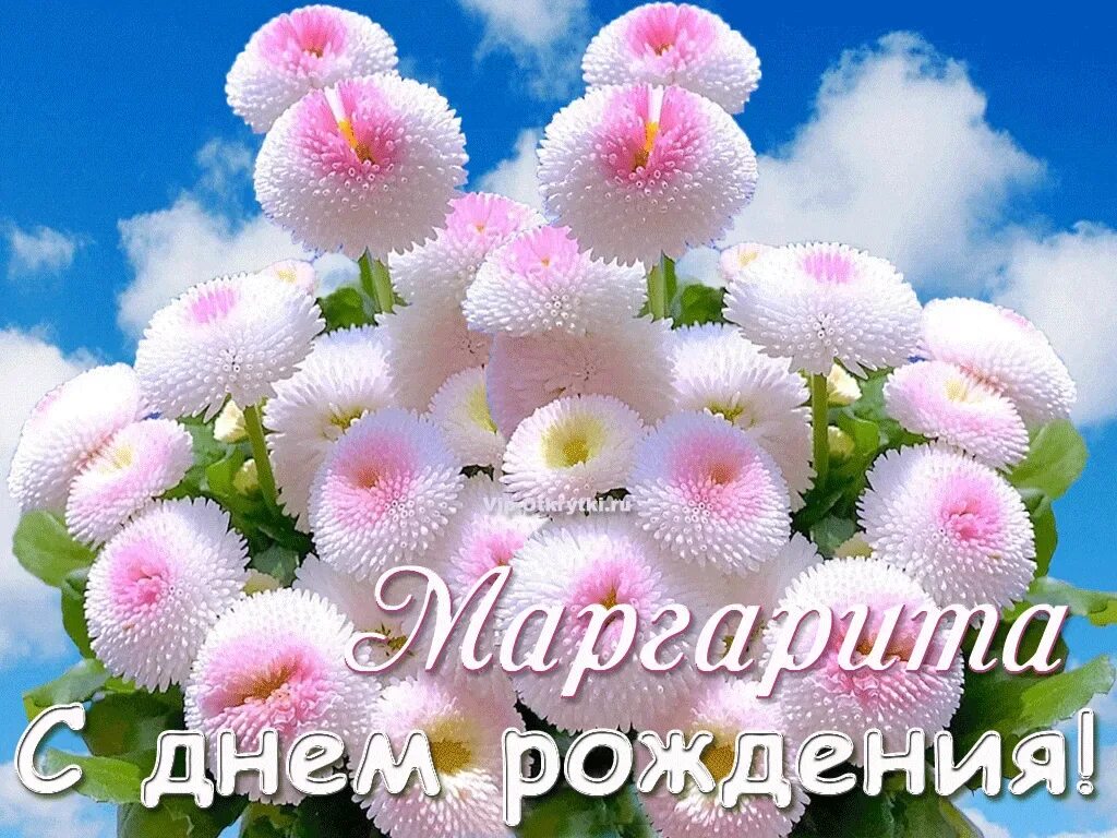 Именины марины. Поздравление с именинами маргариты. С днем рождения воспитателю. С днём рождения мвргарита. Картинки с днем маргариты.