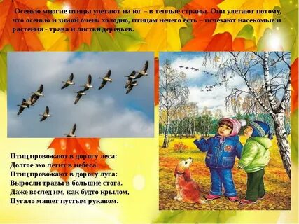 Стихи про улетающих птиц осенью