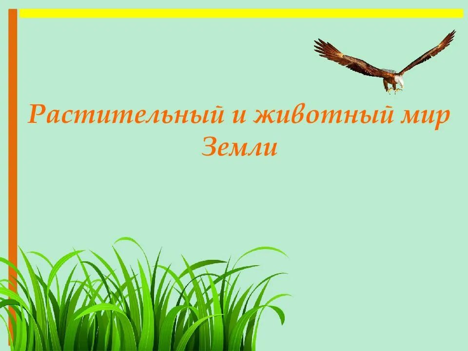 Растительный мир земли доклад. Растительный мир земли презентация. Презентация на тему растительный животный мир. Растительный и животный мир земли.