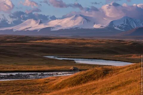 Плато укок алтайский край