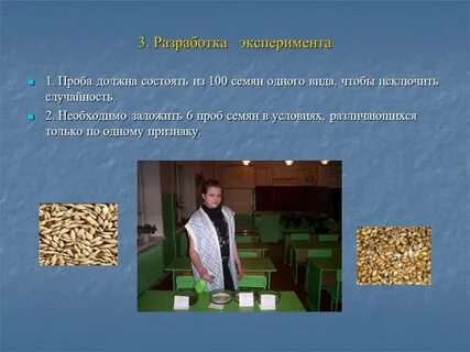 Разработка эксперимента
