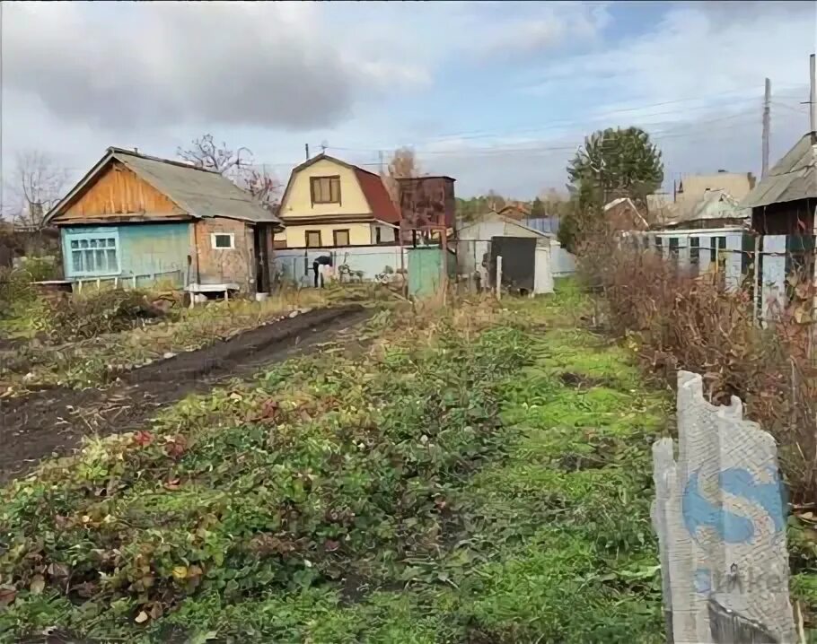 СНТ Незабудка Тюмень. СНТ Незабудка Тюмень Салаирский тракт на карте. СНТ Незабудка Дмитровский район. СНТ Незабудка Растопуловка. Снт незабудка