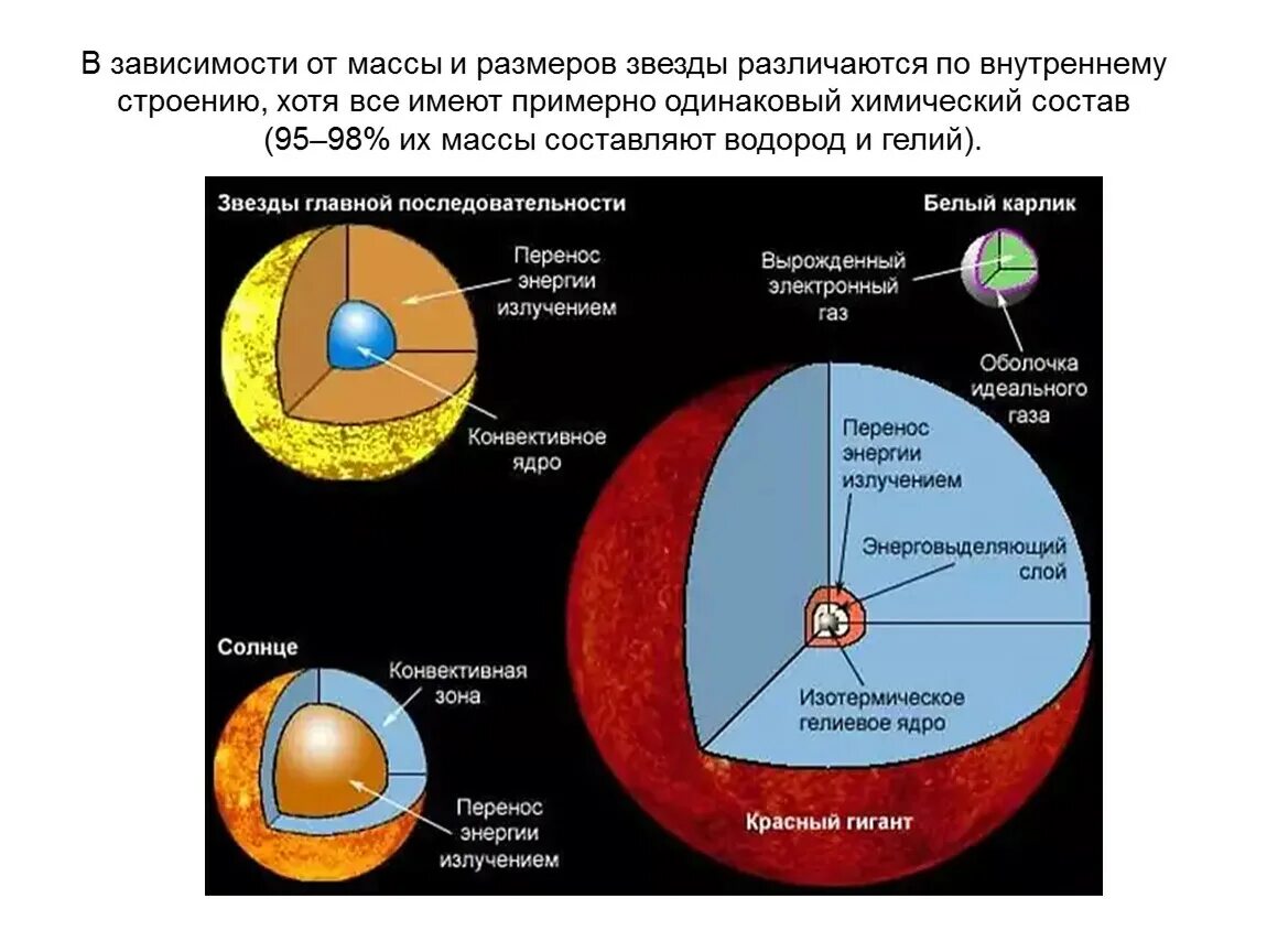 Что не входит в состав белого карлика. Внутреннее строение звезд астрономия. Внутреннее строение звезд состав. Внутреннее строение звезды и ядра. Схематическая структура звезд разного типа.