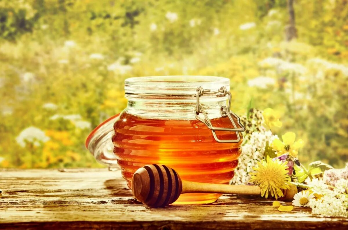Мед картинки. Луговой и гречишный мед. Мед Луговое разнотравье. Мед Луговое разнотравье Honey. Мед медовый спас разнотравье.