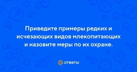 Работа в реже охрана