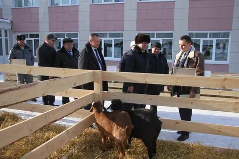 Татарстан алькеевский