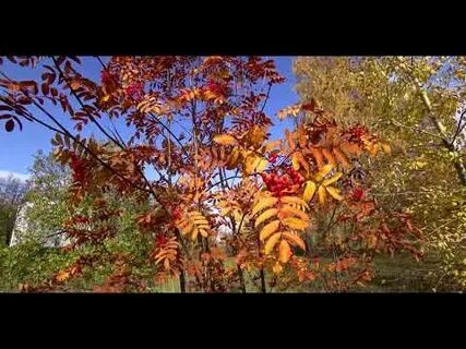 Слушать песню краски осени