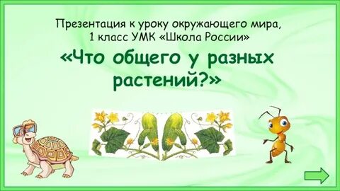 Презентации 1 класс окружающему