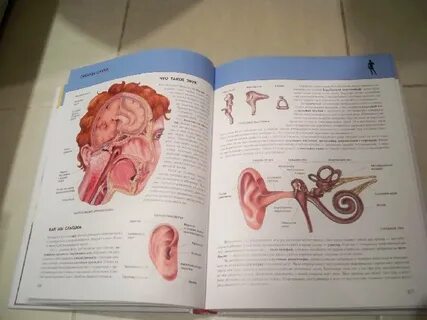 Человек книги энциклопедии