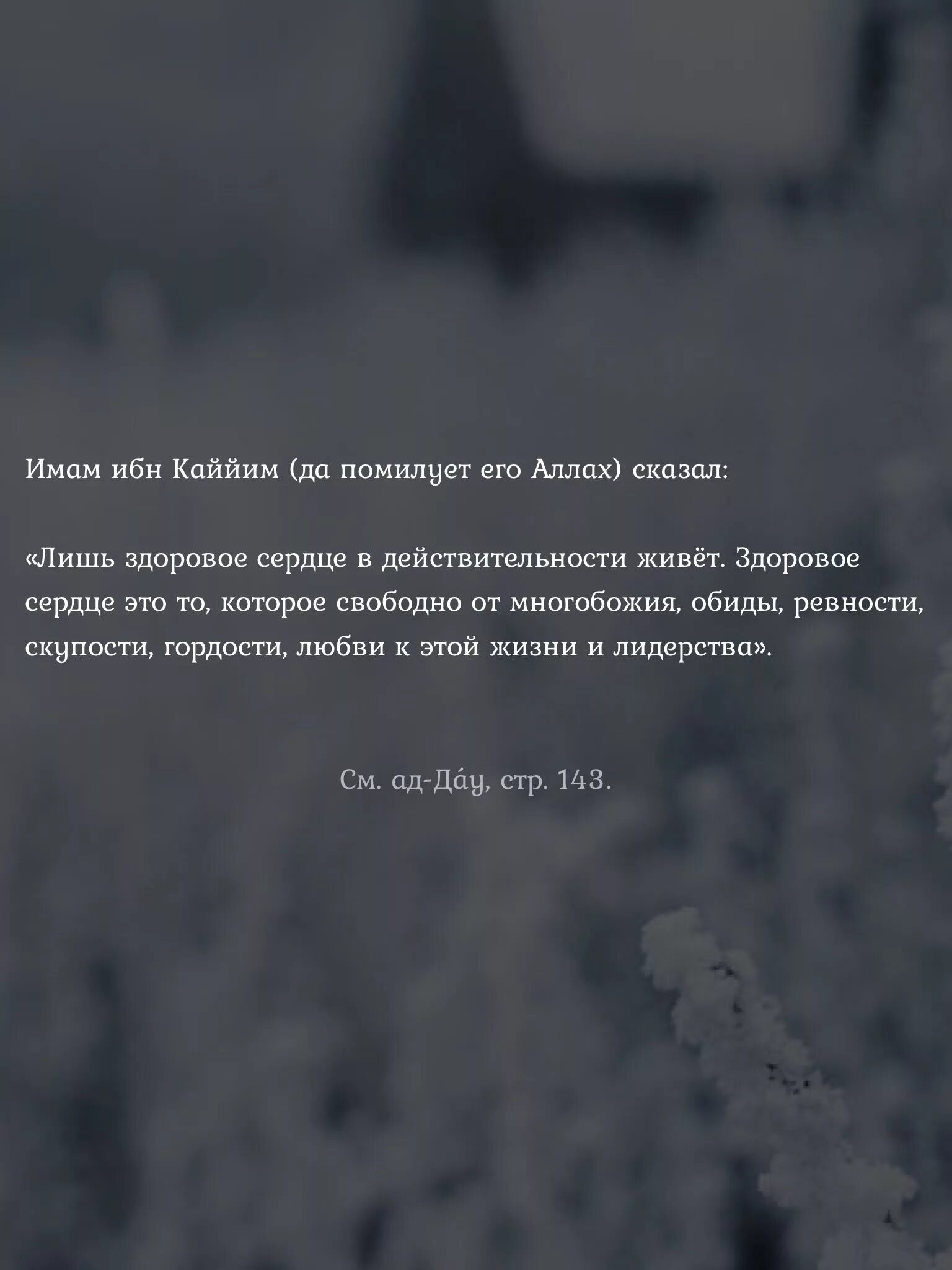 Ибн кайим аль. Ибн Кайим высказывания. Высказывания ибн Каййима. Высказывания ибн Каййим. Имам ибн Каййим.