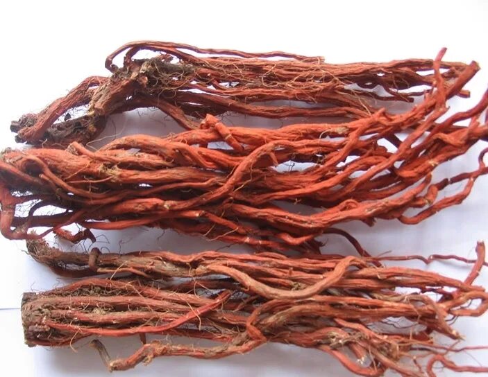 Red root or Penny forgotten - купить на Ярмарке Мастеров - J5C6GCOM Grass, Krasn