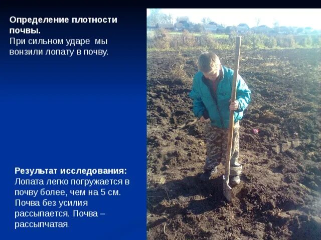 Плотность почвы. Оценка плотности почв. определение плотности почвы. плотный грунт это. плотность почвы определяется.