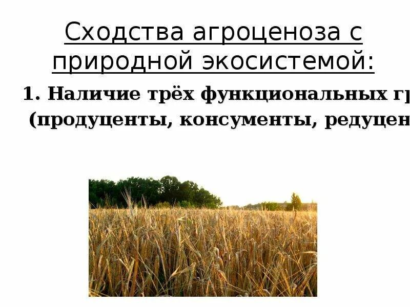 Укажите агроценоз. Понятие агроценоз. Агроценоз это в экологии. Агроценозы и агроэкосистемы. Что такое экосистема агроценоз.