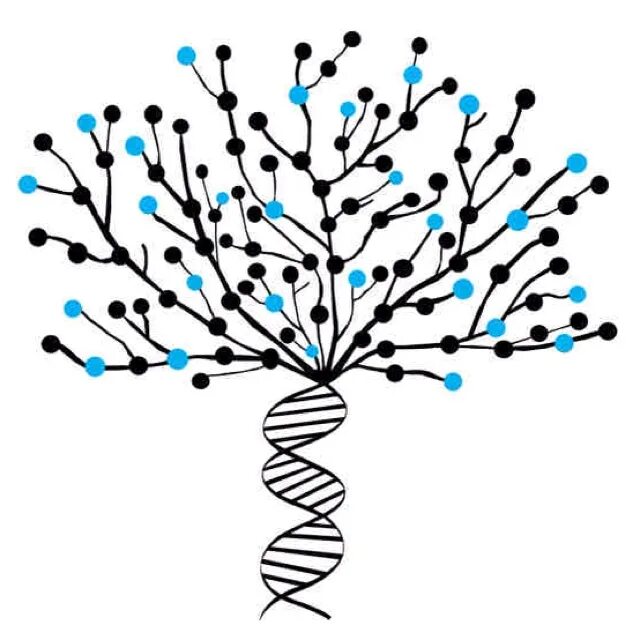 Генетика деревьев. Дерево ДНК. Нарисованное дерево с бусинами. ДНК дерево вектор. ДНК дерево лого.