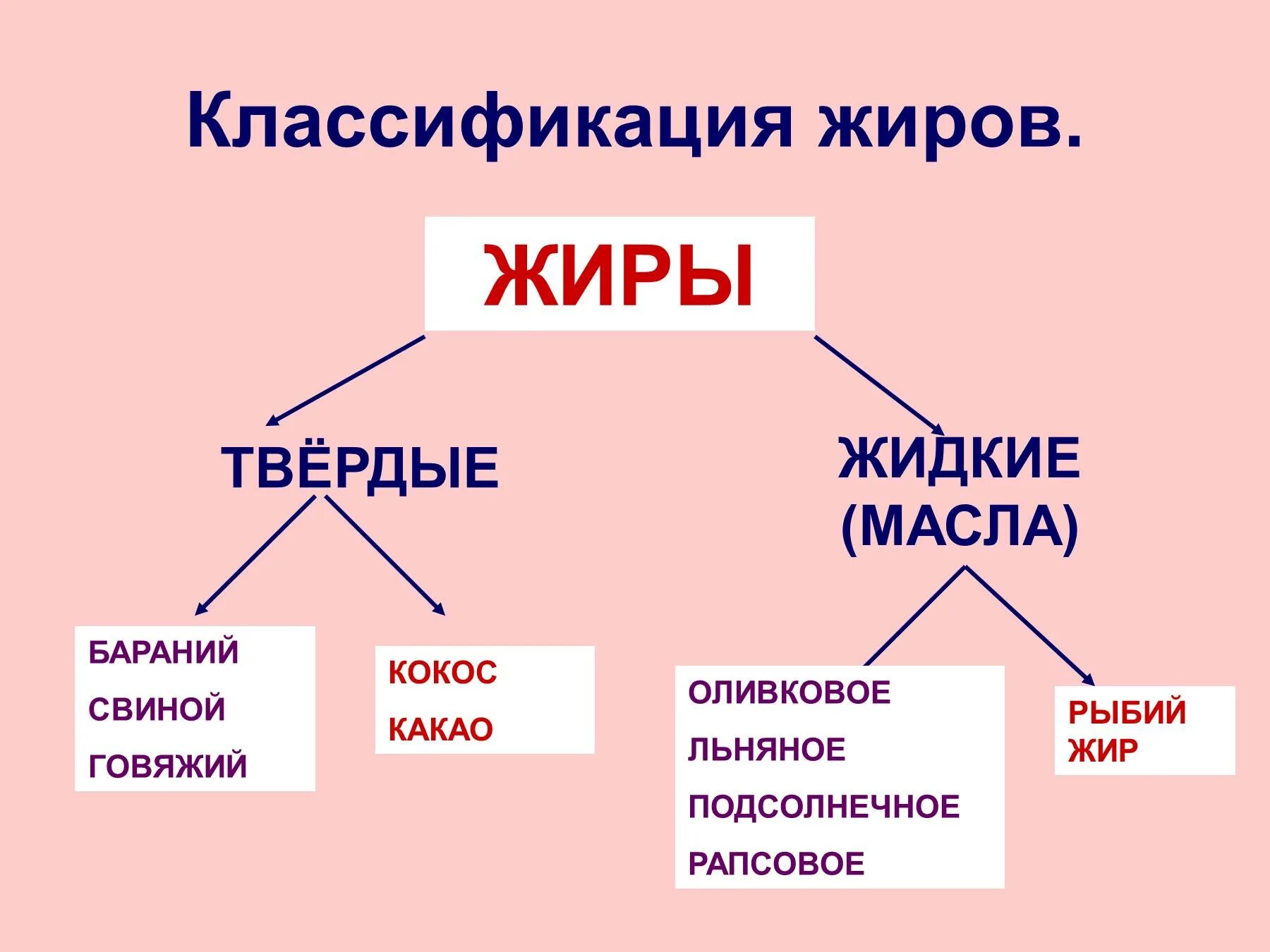 Классификация растительных жиров. Классификация жиров растительные и животные. Схема классификации жиров. Классификация жиров животного происхождения.