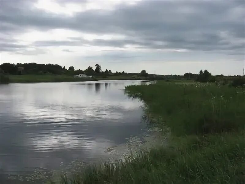 Р шарап. Река Шарап Новосибирская область. Река Шарап Кемеровская область. Озера в Шарапе. Озеро новый Шарап.