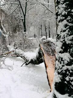 Падаю зимой