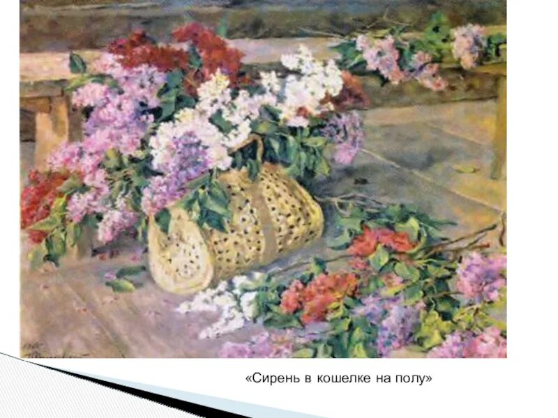 Картина сирень 5 класс. Кончаловский сирень в кошелке. П. Кончаловский "сирень в корзине" (1933). Кончаловский сирень в кошелке на полу. Кончаловский Петр Петрович. Сирень в кошелке на полу.
