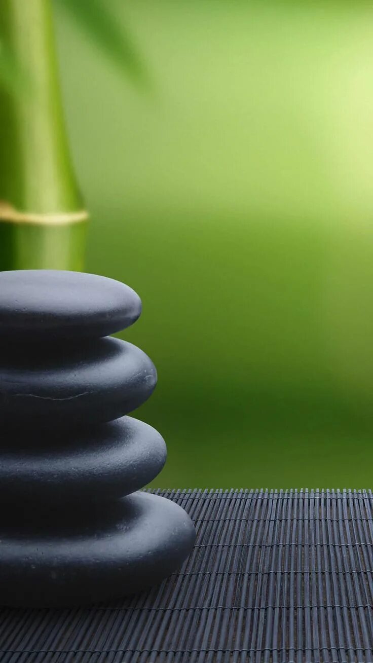 Fannu4 дзен. Fannu4 дзен. Zen 4. Zen 4 процессоры. Спокойствие.